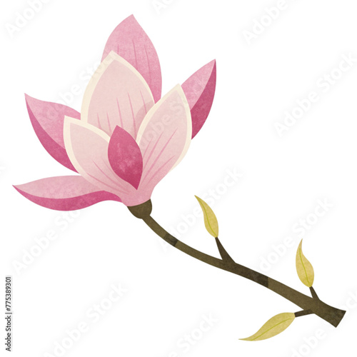 A stylized magnolia bloom rendered in soft pink tones with subtle polka dots adorns a dark branch against a white background