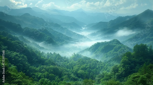  A valley surrounded by trees with distant mountains in the haze