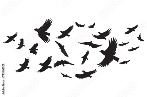 Flying birds silhouettes Vector illustration white background