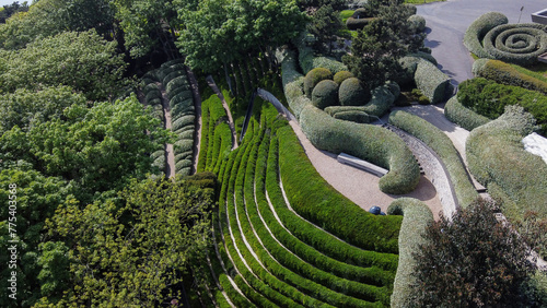 Photography Drone view on Part of Etretat gardens with amazing curves of topiary bushes and