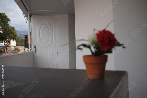 Fototapeta Naklejka Na Ścianę i Meble -  Flor desenfocada en un matero con un fondo enfocado.