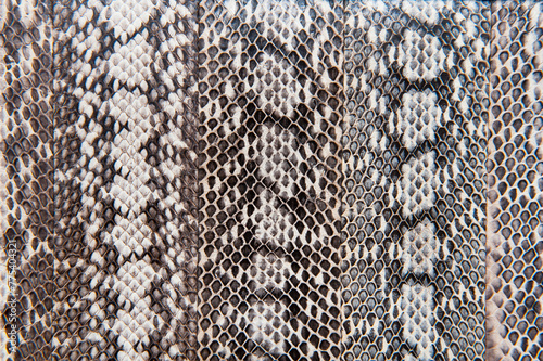 Abstract view of snake skin texture background