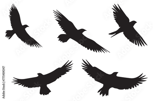 Set of flying birds Vector silhouettes © MDHABIBUR