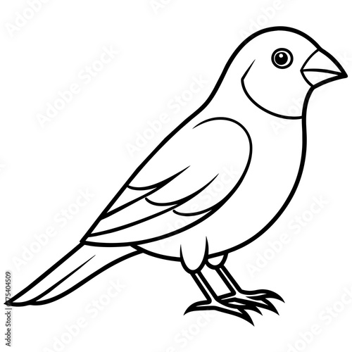 line art of a canary