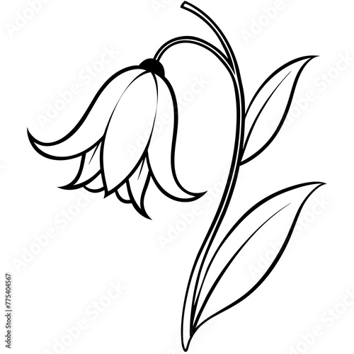 line art of a bluebell photo