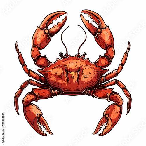 Crab isolated on white background. Vector illustration in sketch style.