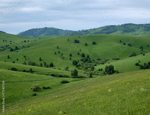 Scenic panoramic view of idyllic rolling hills landscape with blooming meadows and snowcapped alpine mountain peaks in the background on a beautiful sunny day with blue sky and clouds in springtime