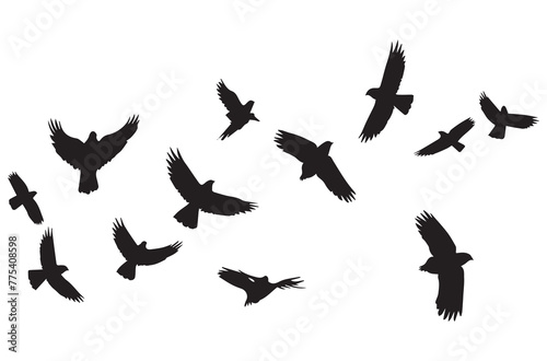silhouettes flying birds Vector illustration