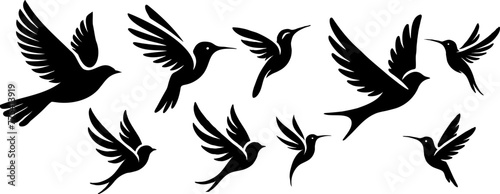 Set d'oiseaux en vol, collection à ajuster selon besoins. Vecteur noir isolé du fond.  photo