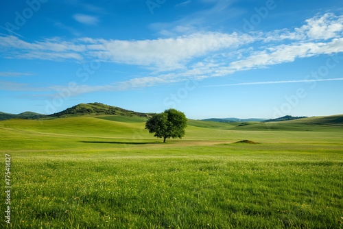 the landscape of a vast meadow for computer wallpaper, or the texture of the view outside the window for visualization, generative AI