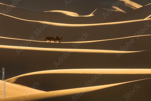 Sand waves. Camel herder with camel wandering through amazing sand dunes. Umnugobi province, Mongolia, Asia photo