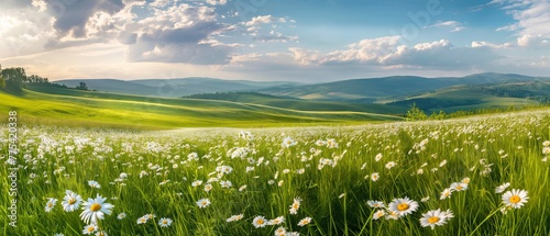 Fototapeta Naklejka Na Ścianę i Meble -  Beautiful blurred background image of spring nature with a neatly trimmed lawn surrounded by trees against a blue sky with clouds on a bright sunny day