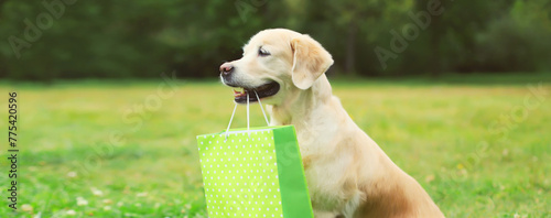 Happy Golden Retriever dog holding green shopping bag in the teeth in park