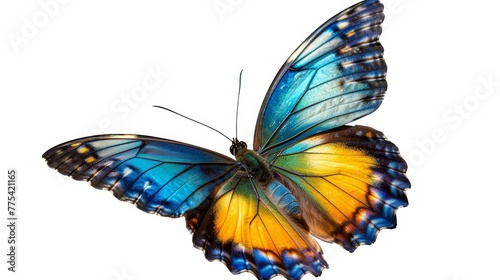 Closeup of beautiful blue, yellow and orange butterfly in flight, isolated on white background, insect wildlife photography, digital illustration