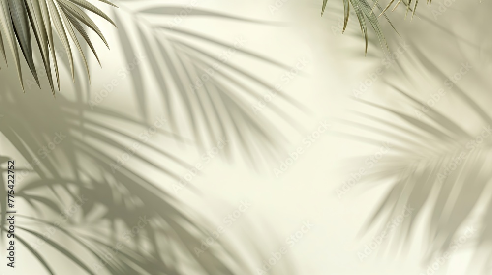 Obraz premium Blurred shadow from palm leaves on light cream wall. Minimalistic beautiful summer spring background for product presentation. 