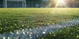 lawn and football field markings Generative AI