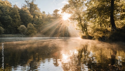 a tranquil forest scene captures the beauty of nature as the sun s rays filter through the water illuminating the lush trees and plants in a picturesque landscape