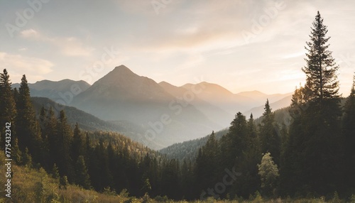 landscape forest mountains nature adventure travel background panorama illustration of dark green silhouette of valley view of forest fir trees and mountains peak