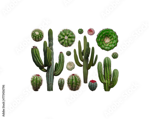 Set of cacti with flowers. Hand-drawn illustration converted to vector Generative Ai