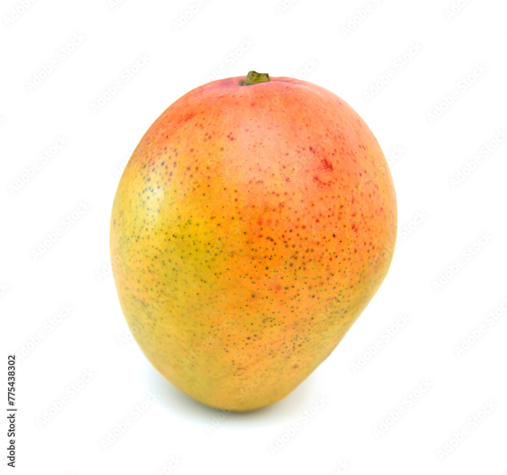 Yellow and red mango fruit isolated on white background Yellow and red mango fruit isolated on white background
