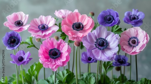  A cluster of pink and purple flowers blooms in a flowerpot, surrounded by lush green foliage and a neutral-toned wall as a backdrop