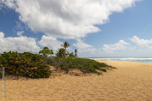 a beautiful spring landscape at Sandy Beach with blue ocean water  silky brown sand  people relaxing  palm trees  blue sky and clouds in Honolulu Hawaii USA