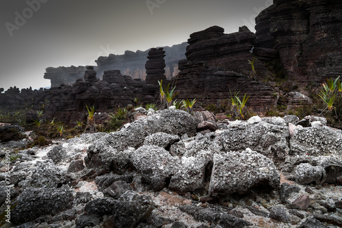 Mount Roraima photo