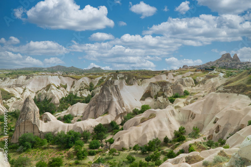 Cappadocia landscape of large stones and trees. Turkey.  © camaralucida1