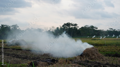 white smoke in agricultural area