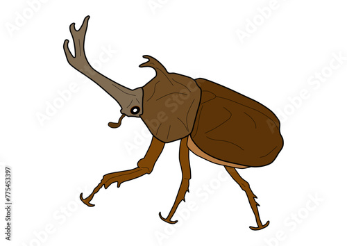 カブトムシ