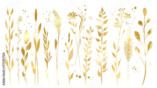 Vector plants and grasses in gold style with gloss effects and and gold paint splatters. Minimalist style of hand drawn plants. With leaves and organic shapes. For your own design.