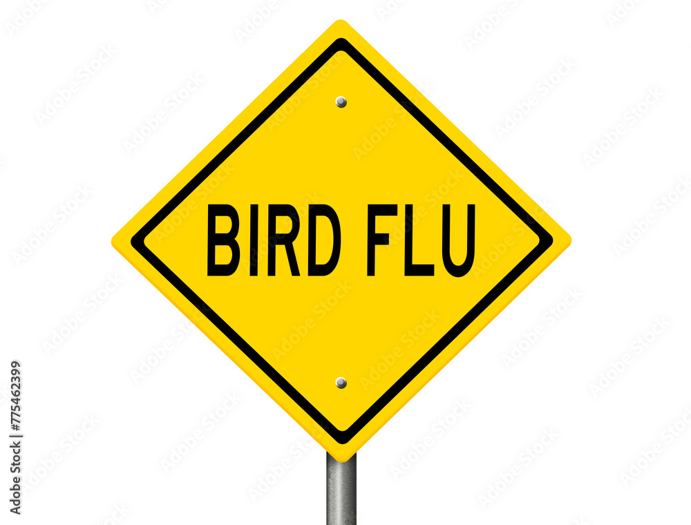 Yellow diamond-shaped highway sign warning of BIRD FLU Yellow diamond-shaped highway sign warning of BIRD FLU