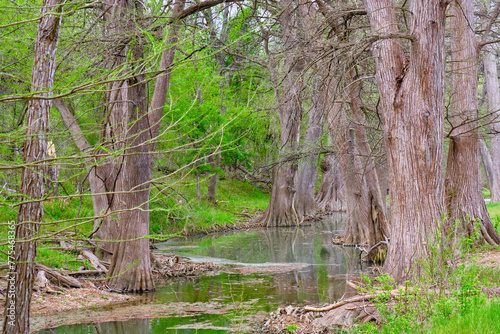 Medina river in Van Ormy Texas on an overcast morning