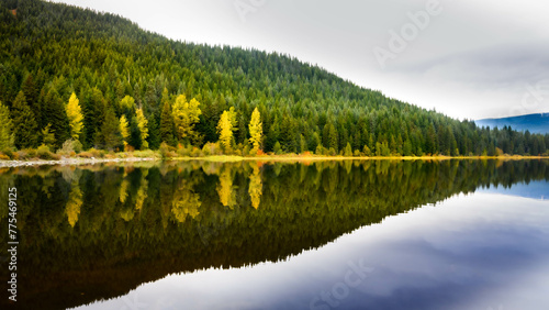 Autumn in Trillium Lake, Oregon. A beautiful reflection of the trees in a calm water lake.