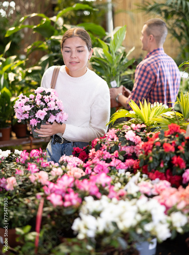 Positive girl choosing potted flower Azalea indoor plants at flower section of gardening store