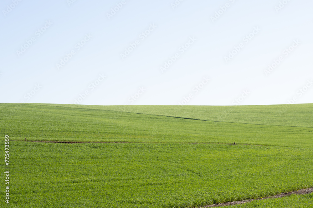 Monoculture Farmer in the region of Pato Branco - Paraná - Brazil	
