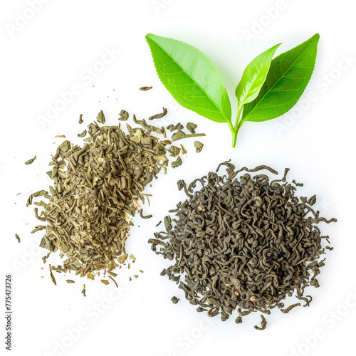 Heap of dried tea and fresh green tea leaves isolated on white background.