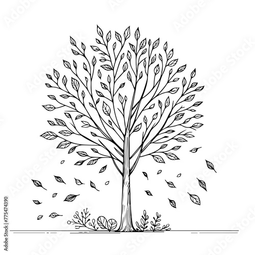 Arbre et feuilles, image pour illustrer a colorier idéal pour page ou livre de coloriage. Isolé, fond transparent