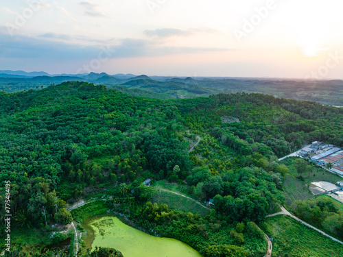 Coconut grove in Qiongzhong rice field, Haikou, Hainan Province, China photo