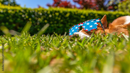 Dog wearing starspangled bandana lying in grass