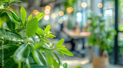 Fresh green potted plants in bright modern office environment with soft bokeh  employees collaborating in background. Workplace wellness and biophilic design.
