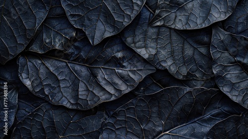 Dark blue leaves forming textured natural pattern, full frame background with detailed foliage, concept of nature's beauty and environmental themes.