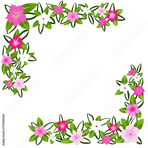 Adorno de flores, blancas y rosas, sin fondo