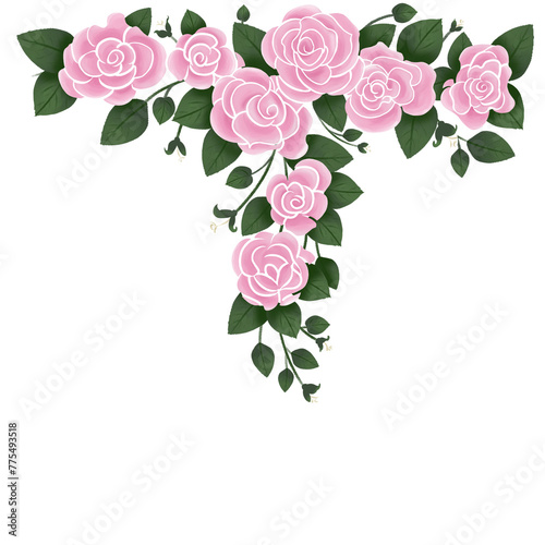 Adorno de rosas, sin fondo, ilustración de la naturaleza