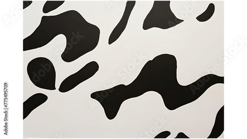 Black and white abstract painting 