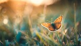 macro or an orange butterfly on teal and green colored grass shallow depth of field dreamy and magical scenery light shining from the corner wide horizontal photo