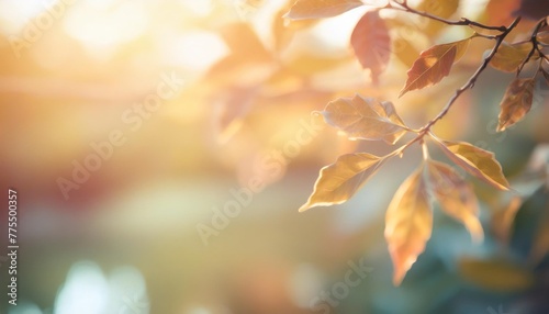 macro of tree leaves for nature background and save green concept spa soft and blur focus made with gradient and filter colored