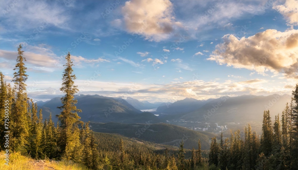view from mount revelstoke across forest with blue sky and clouds british columbia canada