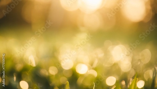 abstract circular green bokeh background green nature spring and nature light in blurred style copy space