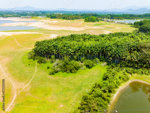 Aerial photography of betel nut plantation in Tunchang, Hainan, China in summer photo